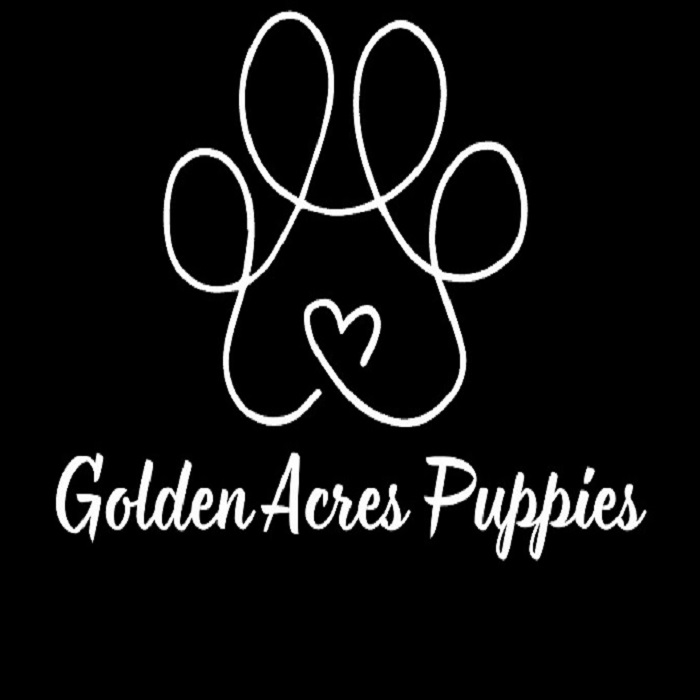 Golden Acres Puppies