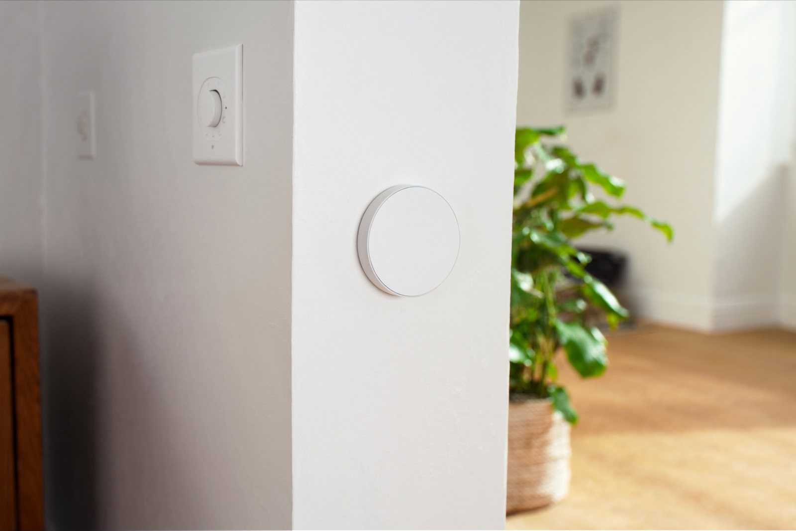 A thermostat on a sunlit wall